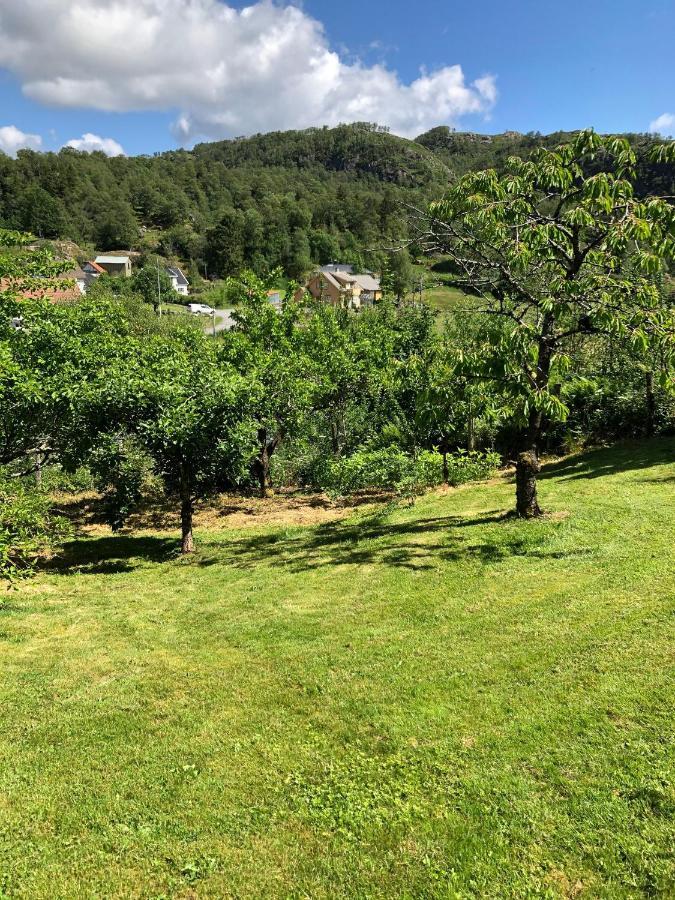 Sokndal - Cozy Vacation Home In Peaceful Surroundings Algard  Esterno foto